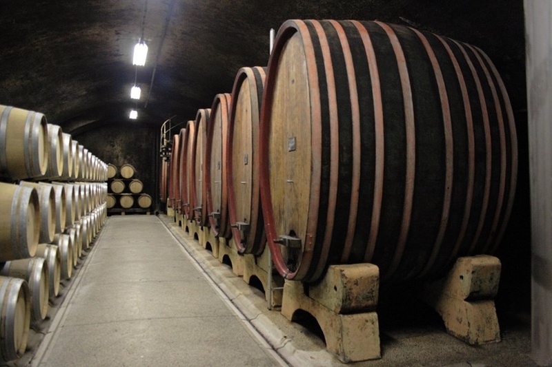 In vino veritas by mojster miha