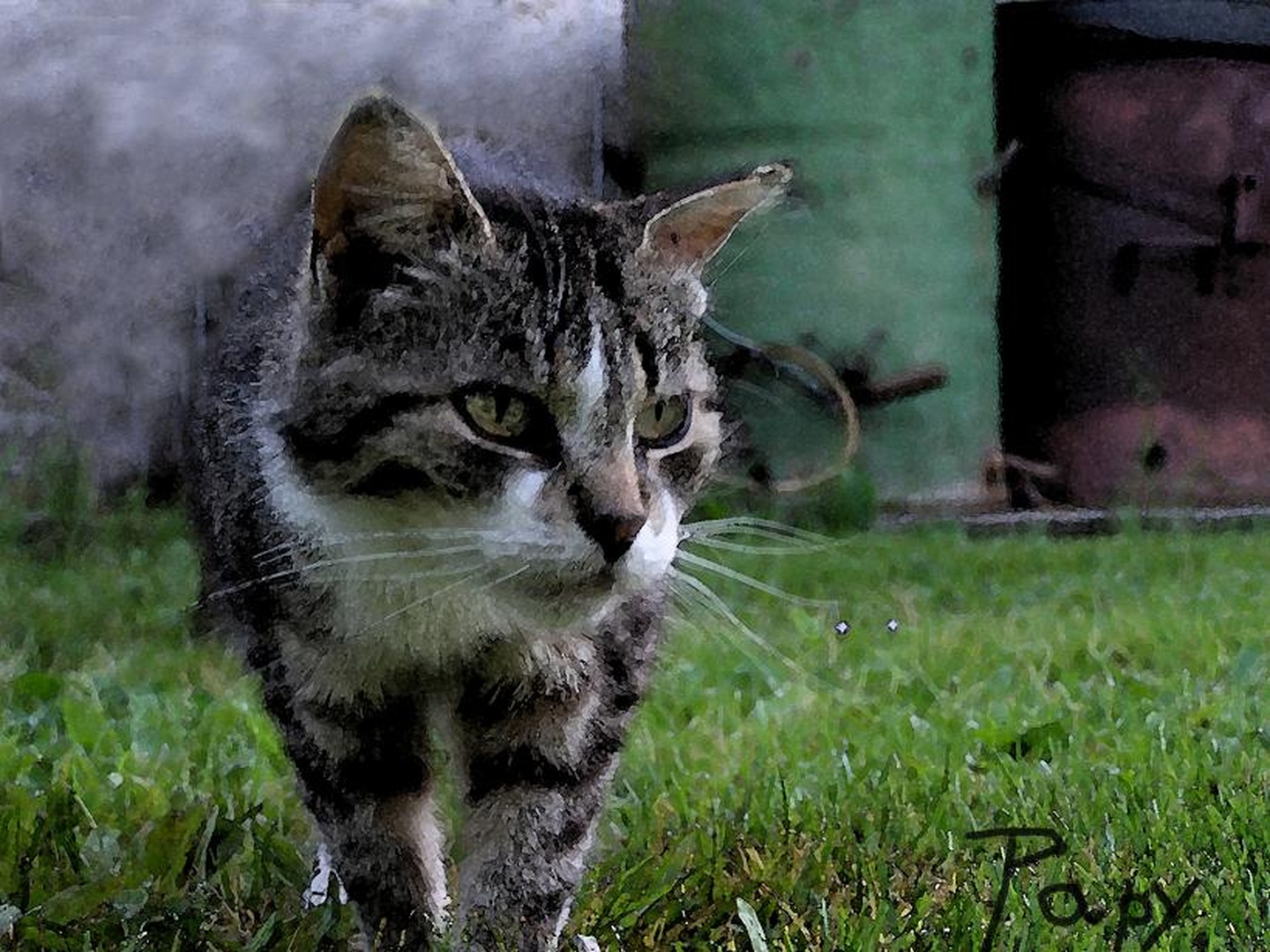 Going to Hunt by blaž papič