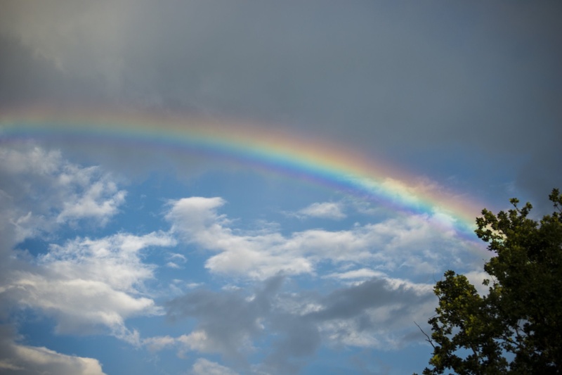 Over the rainbow by simimedi