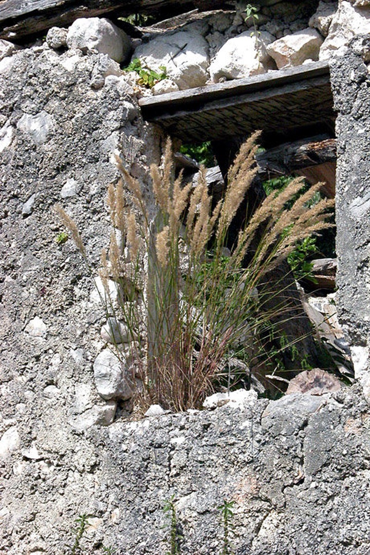 window 1 by
