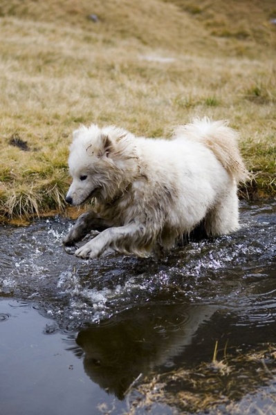 Playin´ around by tone sekne
