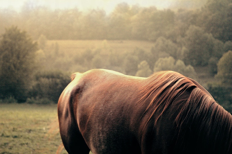 Hočem te imeti... by .M