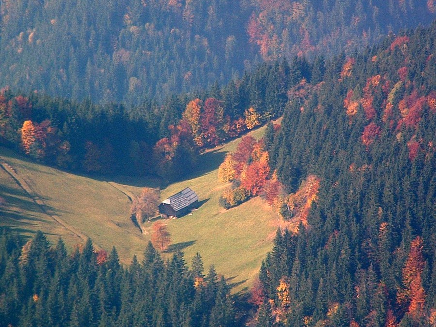 na jasi by
