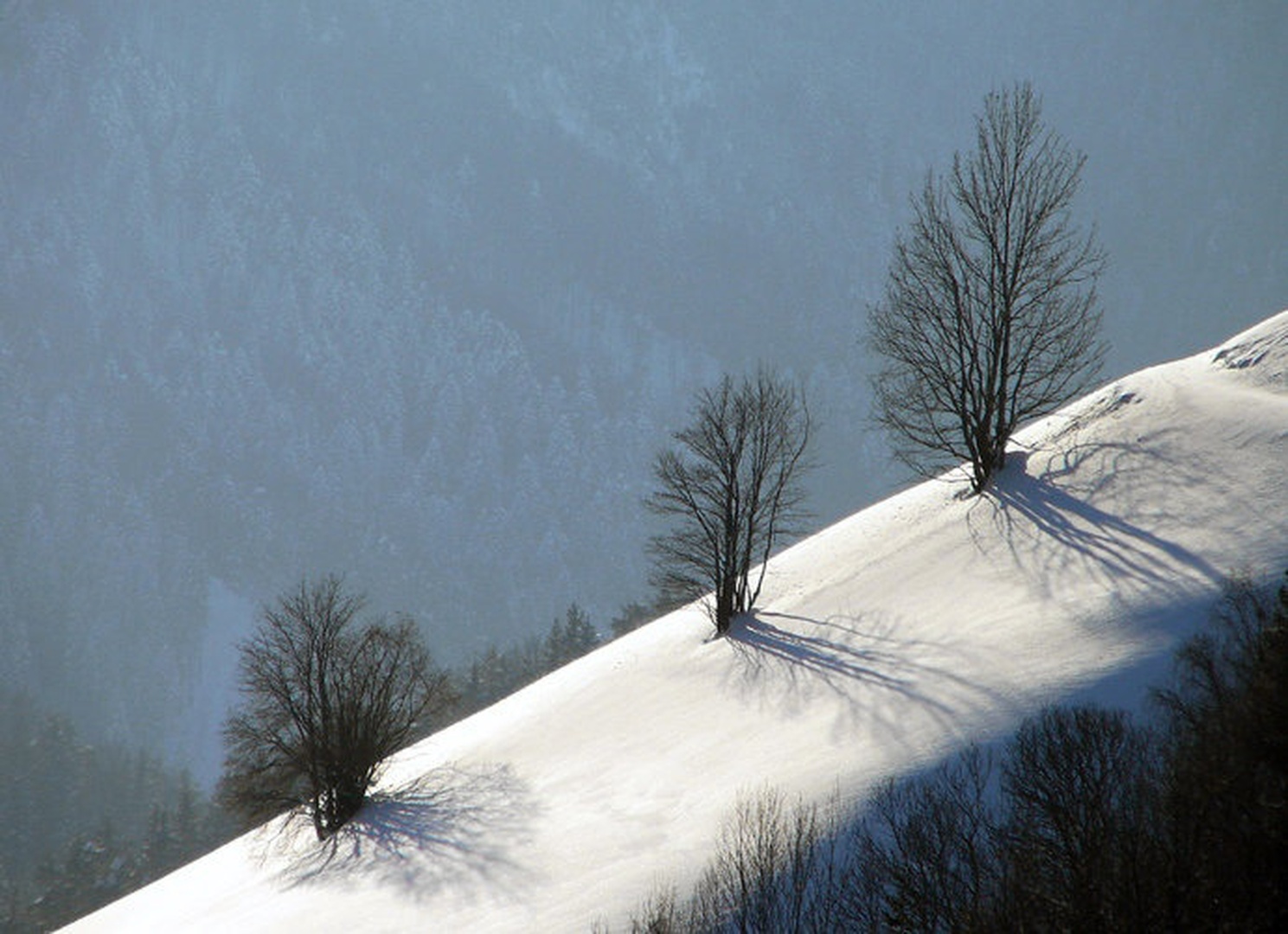 trio by