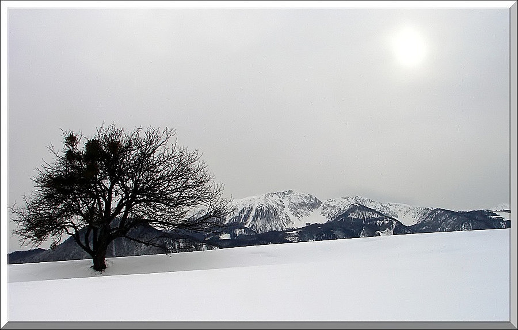 Peca by