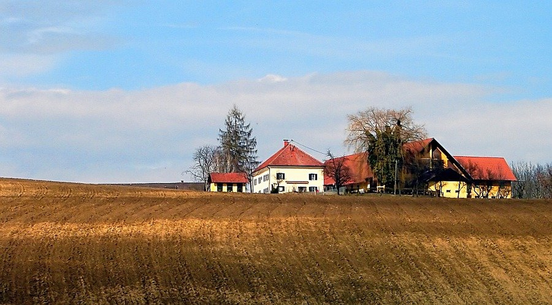 kmetija by