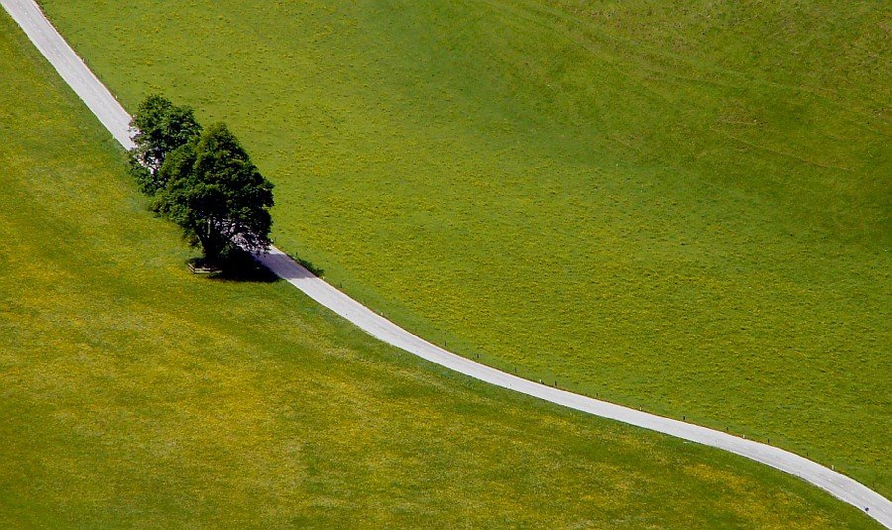 diagonala by