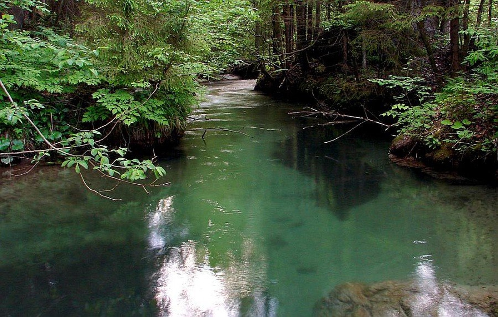 zelena laguna by