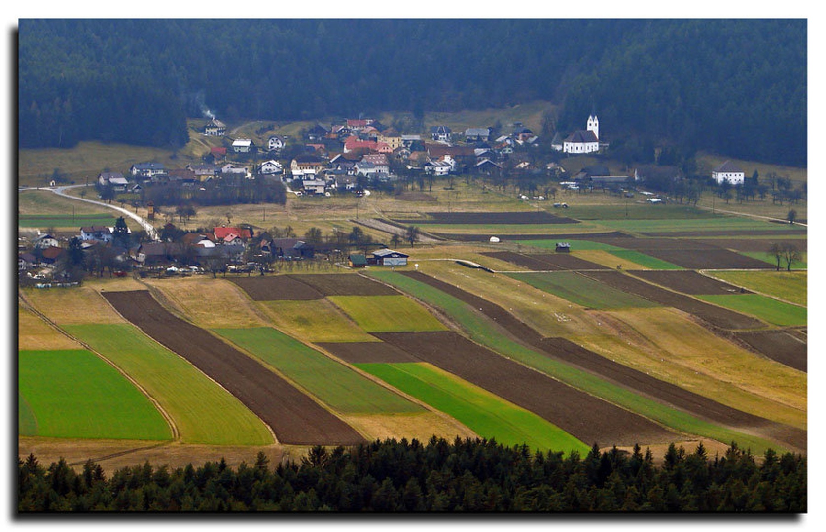 Libeliško polje by