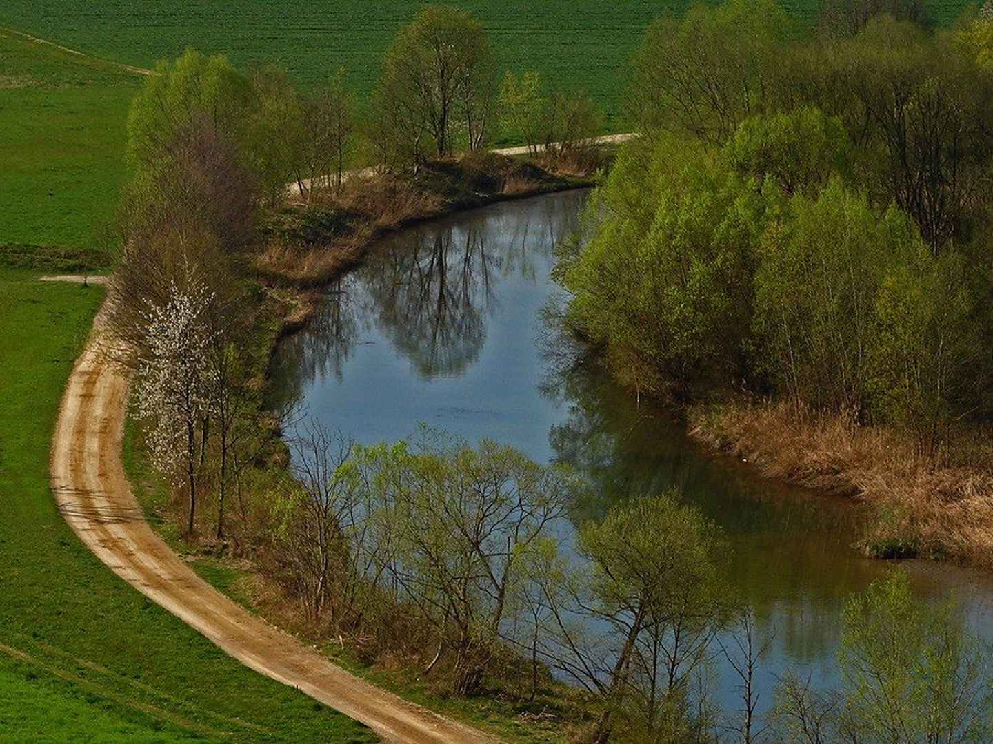ovinek by