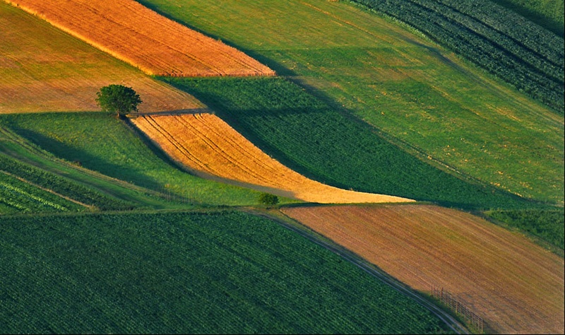 zadnji žarki...božajo polje by borko