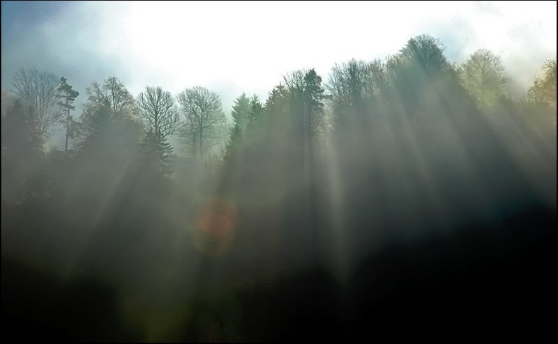 jutro by borko