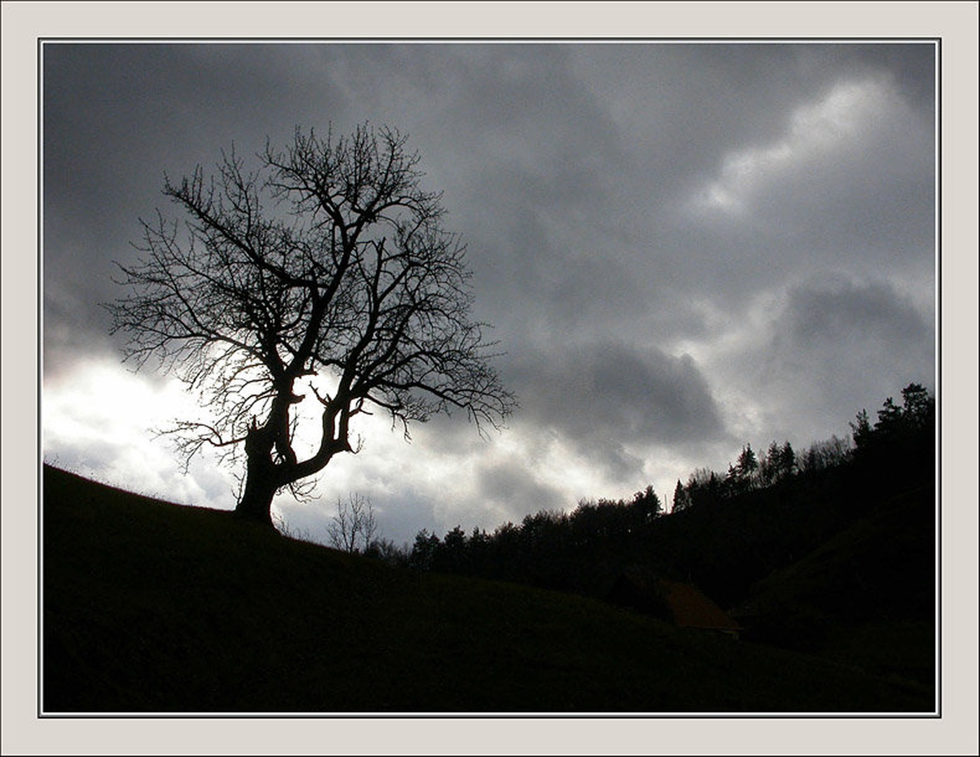 Pred nevihto by