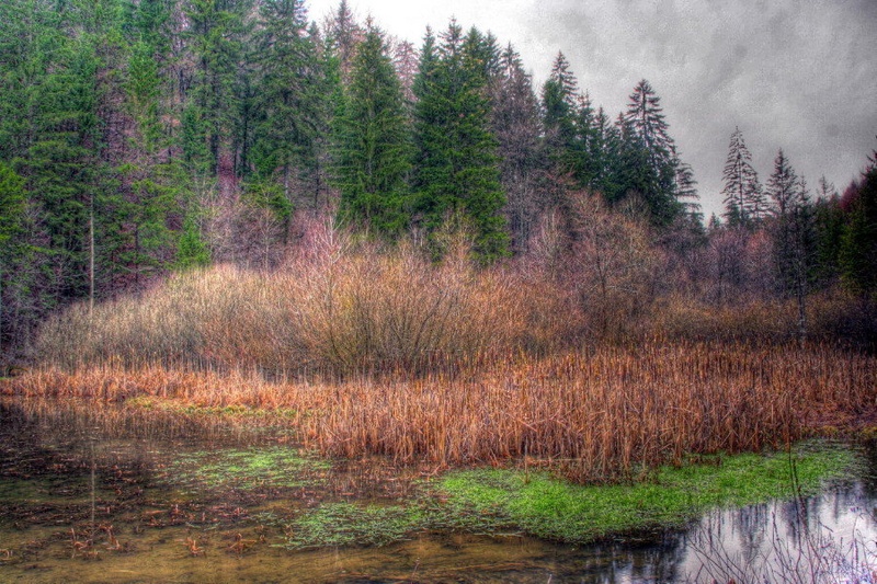 Mokrišče na Sopoti by No name