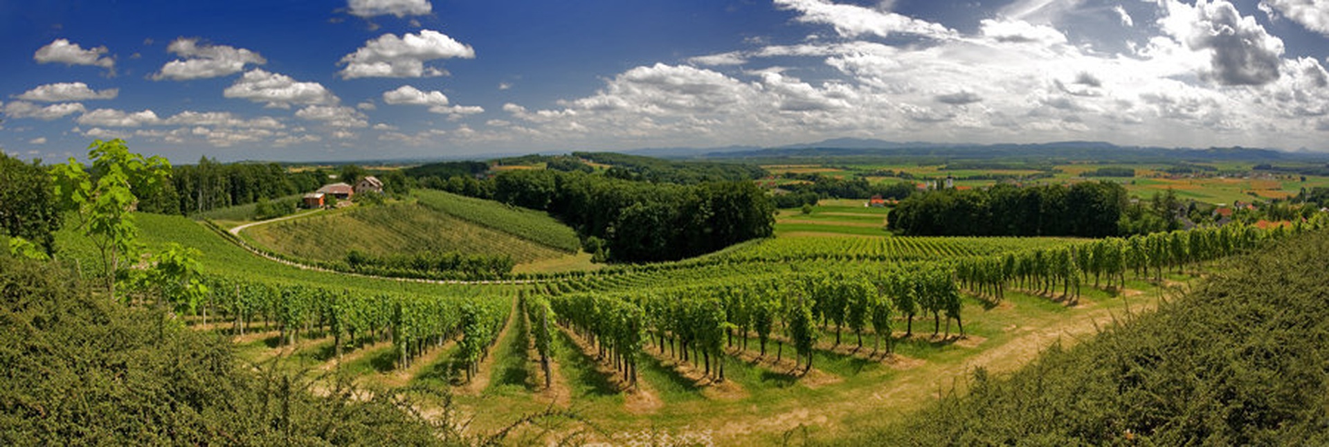 panorama by Tjaz Ocepek
