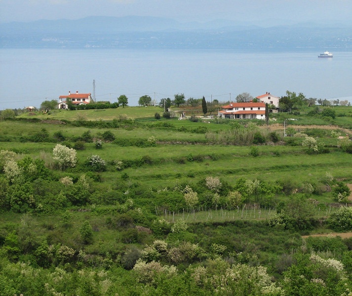 brez plinske ploščadi by kozelova