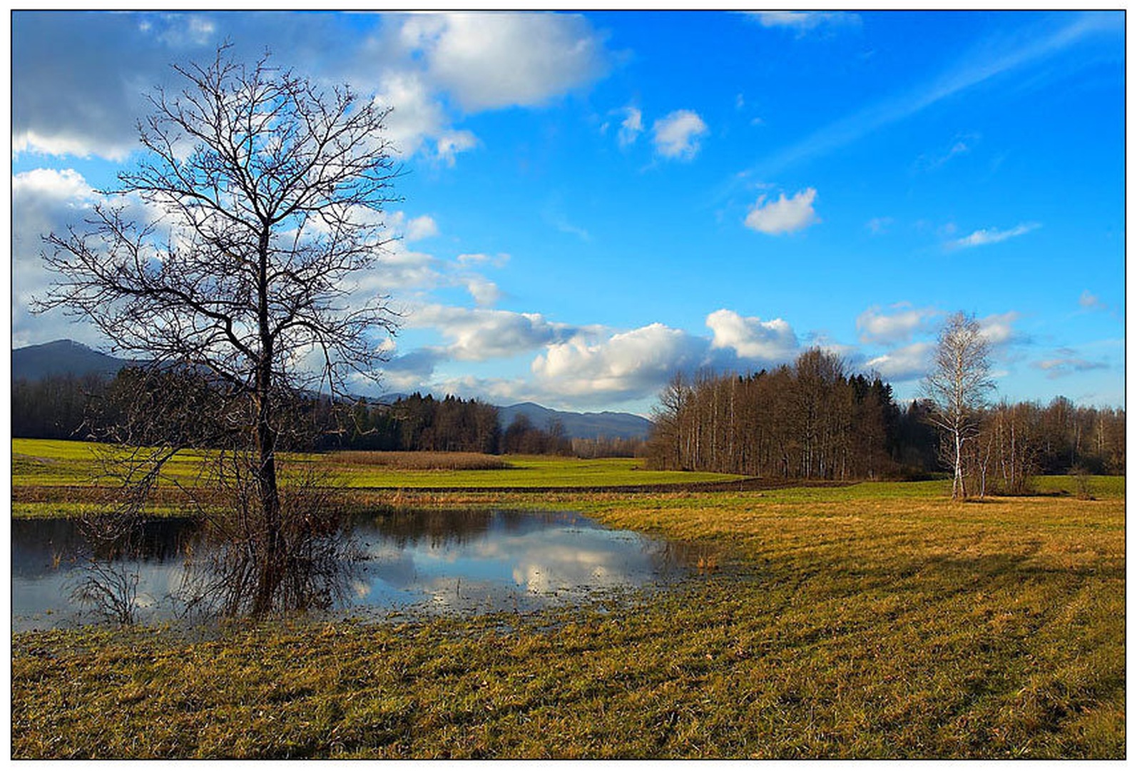darežljivo popoldne by urh_tomaz