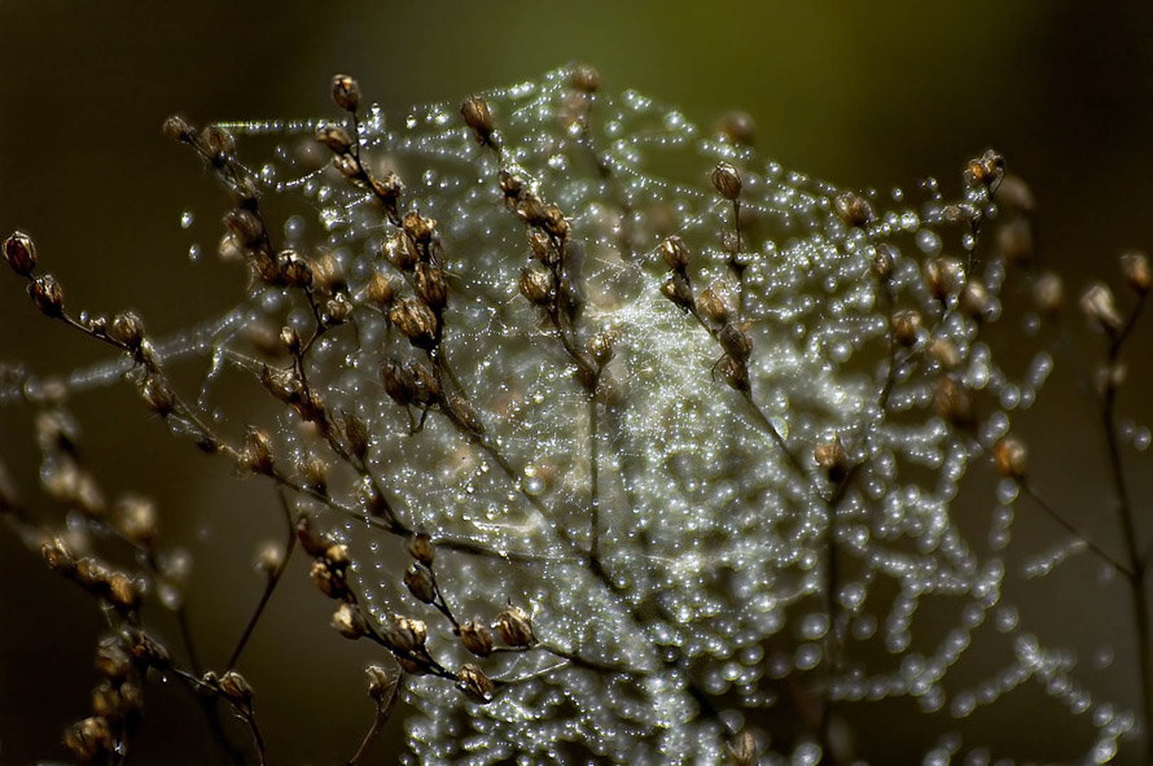 jutranja magija by urh_tomaz