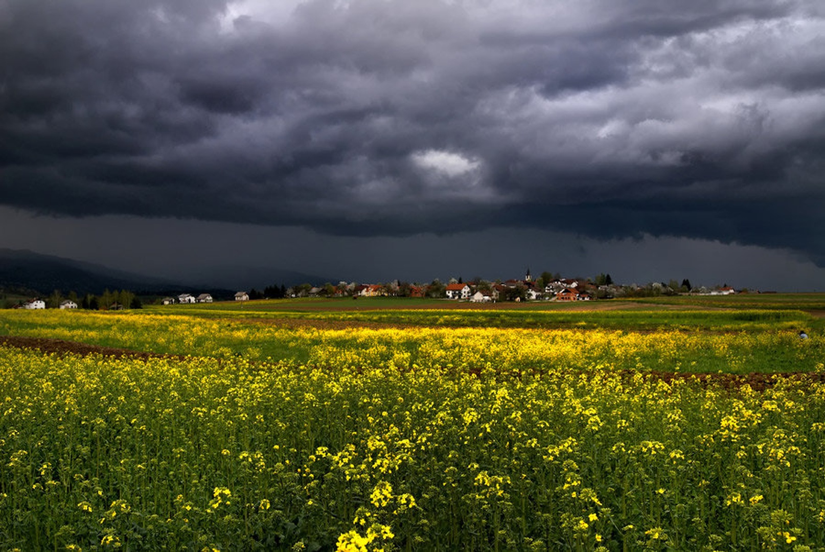 nevithe dah by urh_tomaz