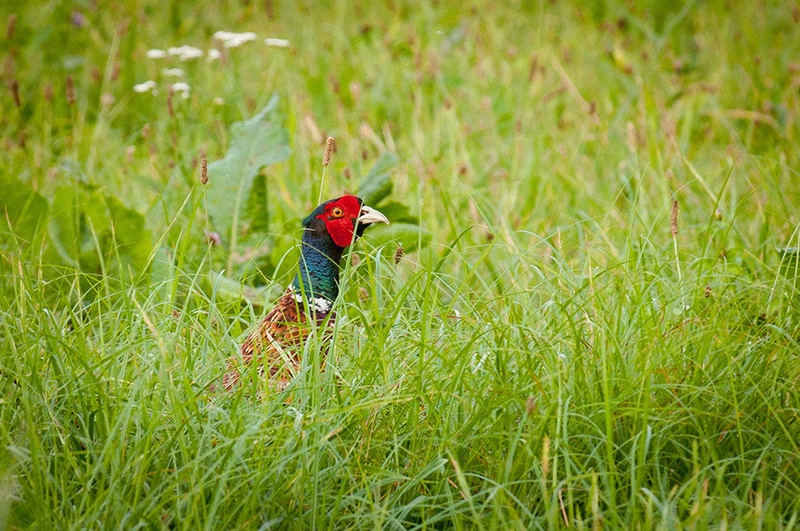Kdo?... jaz? by urh_tomaz