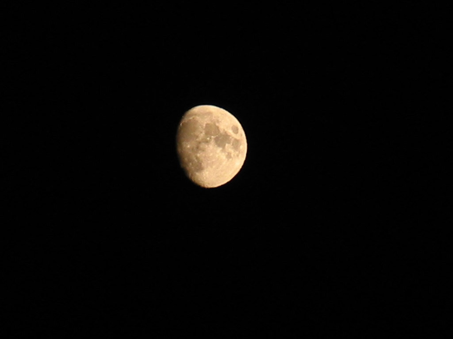 Luna by