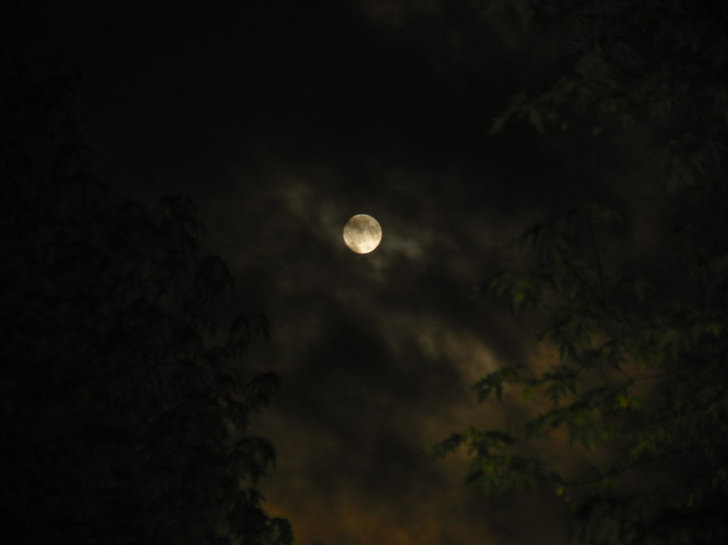 Luna by