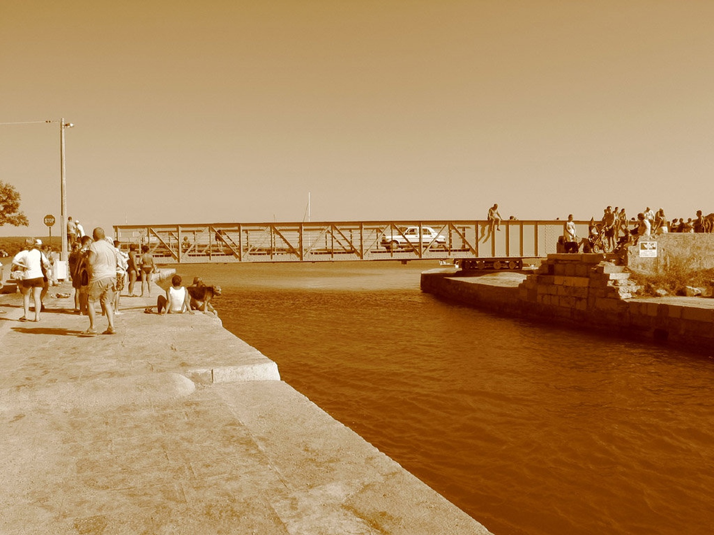 The bridge by