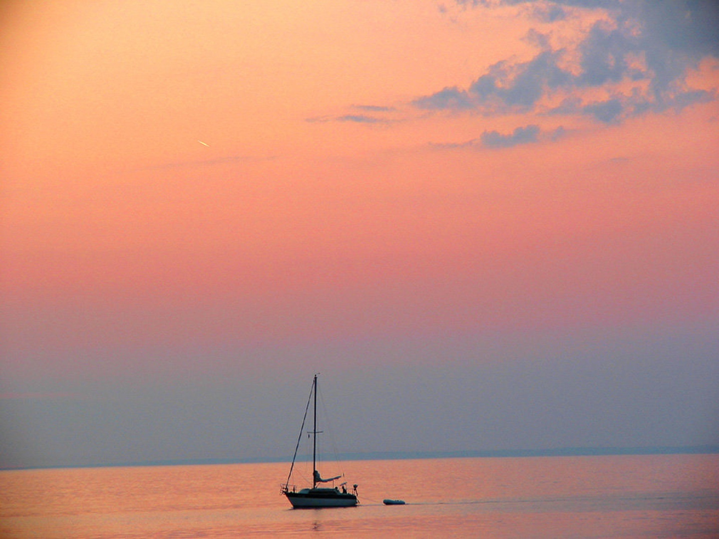 Living Colors by