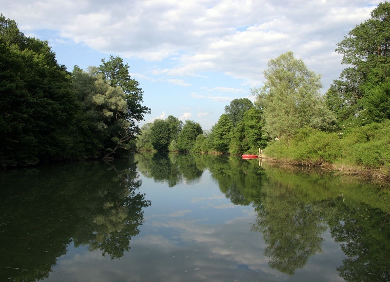 Ljubljanica by Jackson
