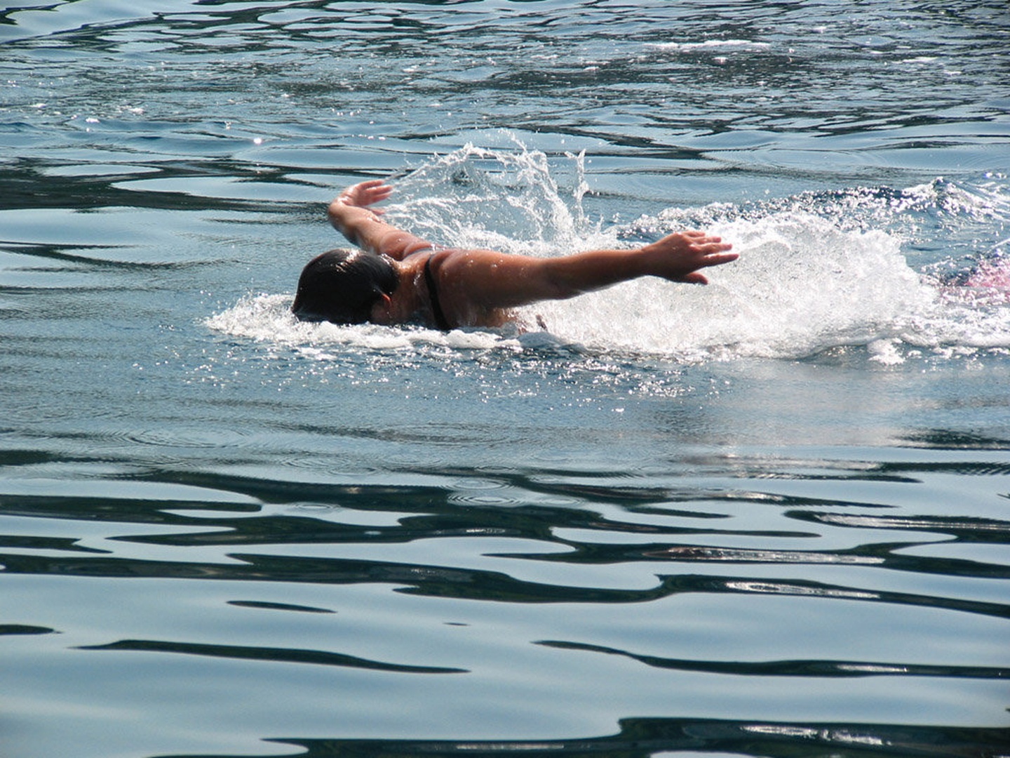 Delfin by