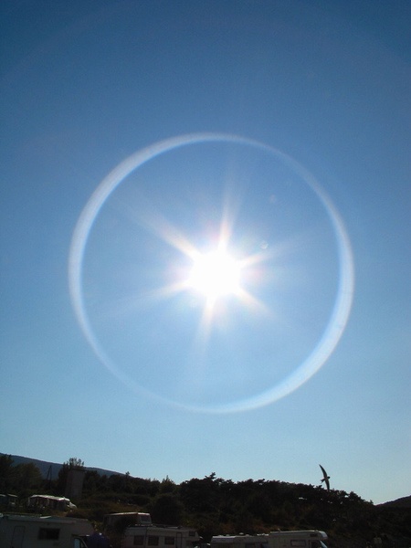 Sun by Jackson