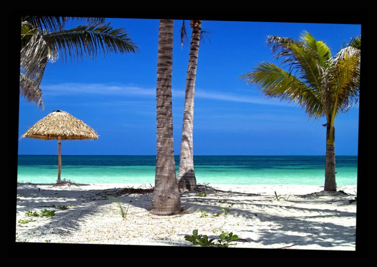 Cayo Levisa by