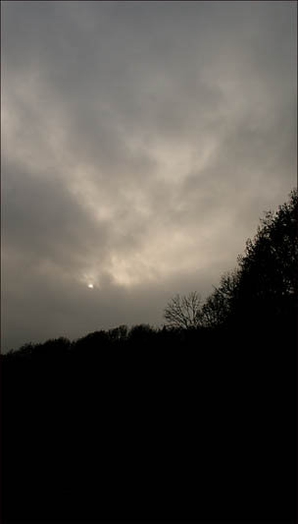 Januar by zlatko mihaljčič