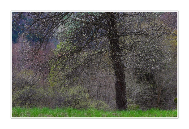 Velikonočna by zlatko mihaljčič