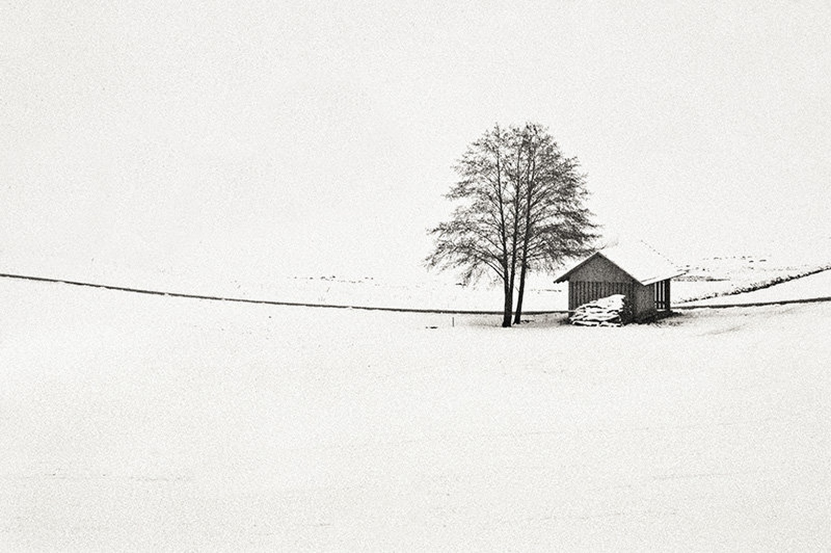 Pozabljena by Žiga Gričnik