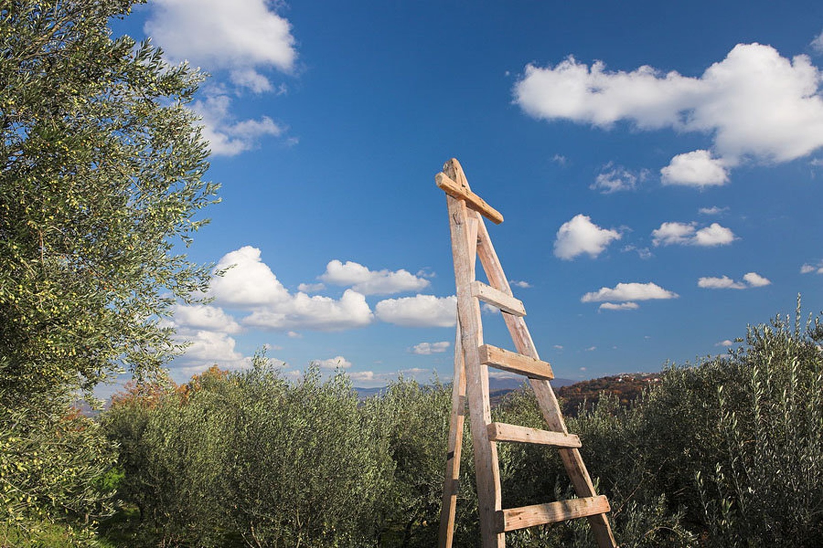 Stairway to Heaven by Jernej Filipcic