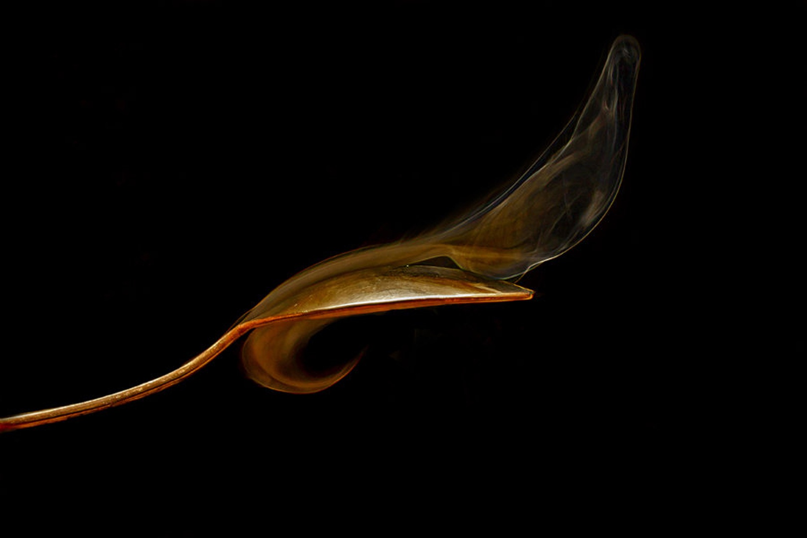 Hmmmmmm by simon pintar