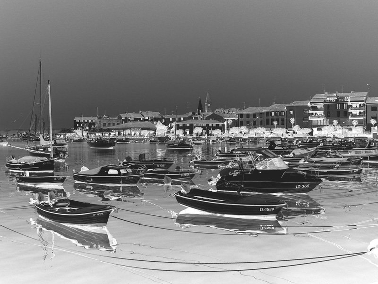 Izola IR by