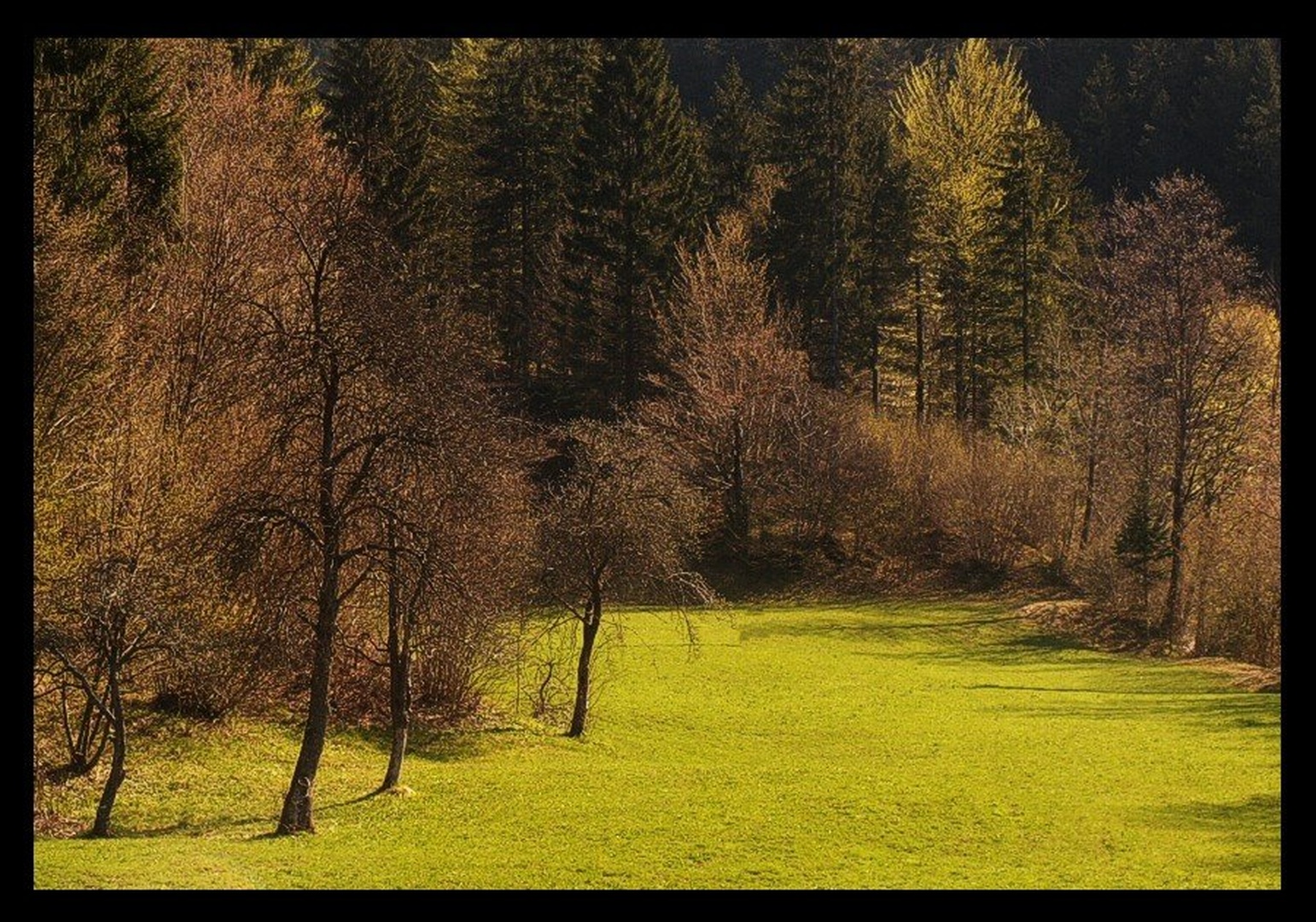 Jutro ob Dovžanovi soteski by Oja