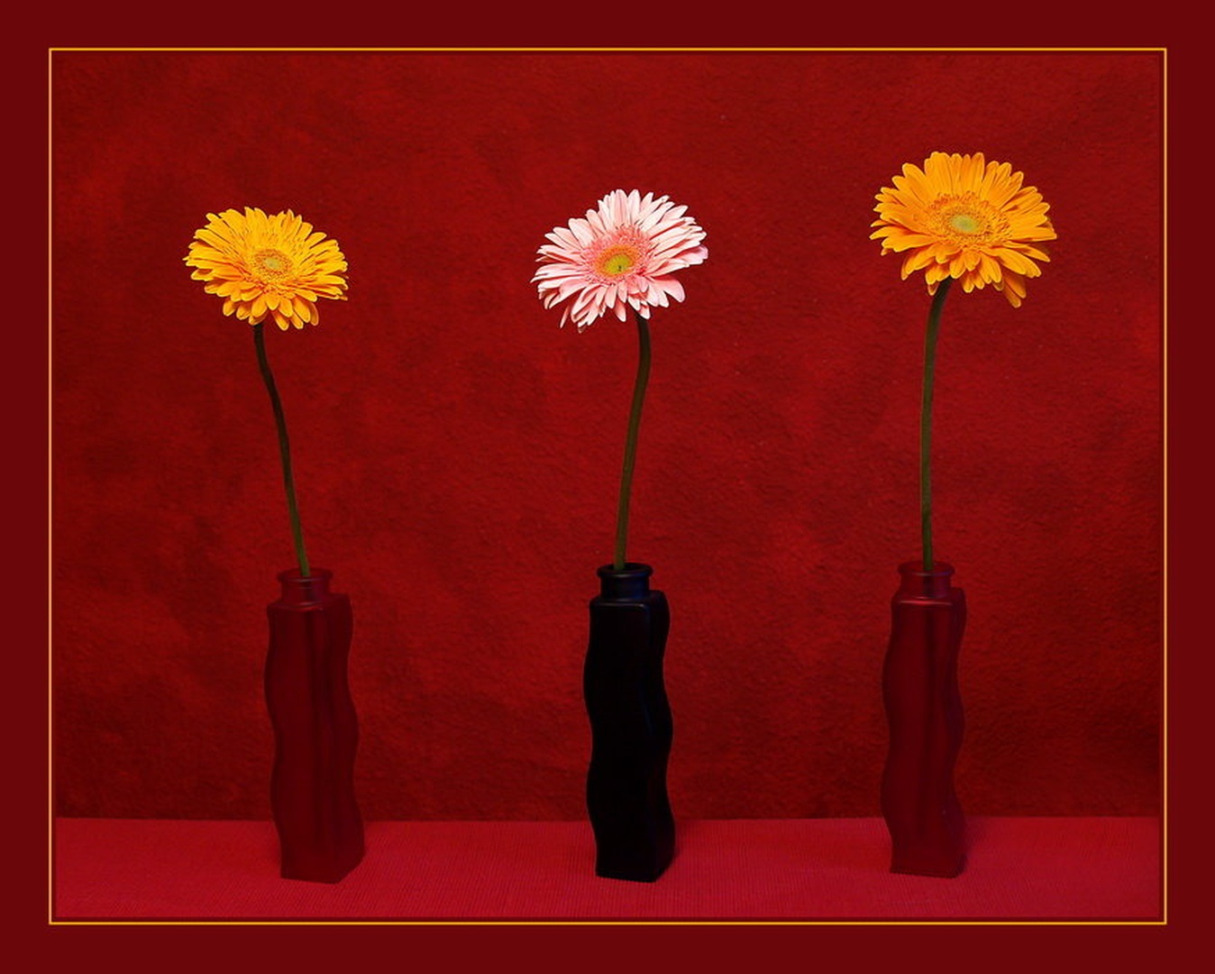 Gerbera trio by Fredy Jagodič