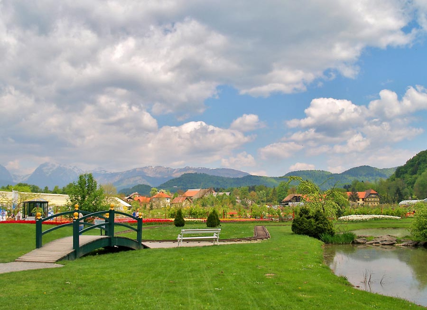 Arboretum by Fredy Jagodič