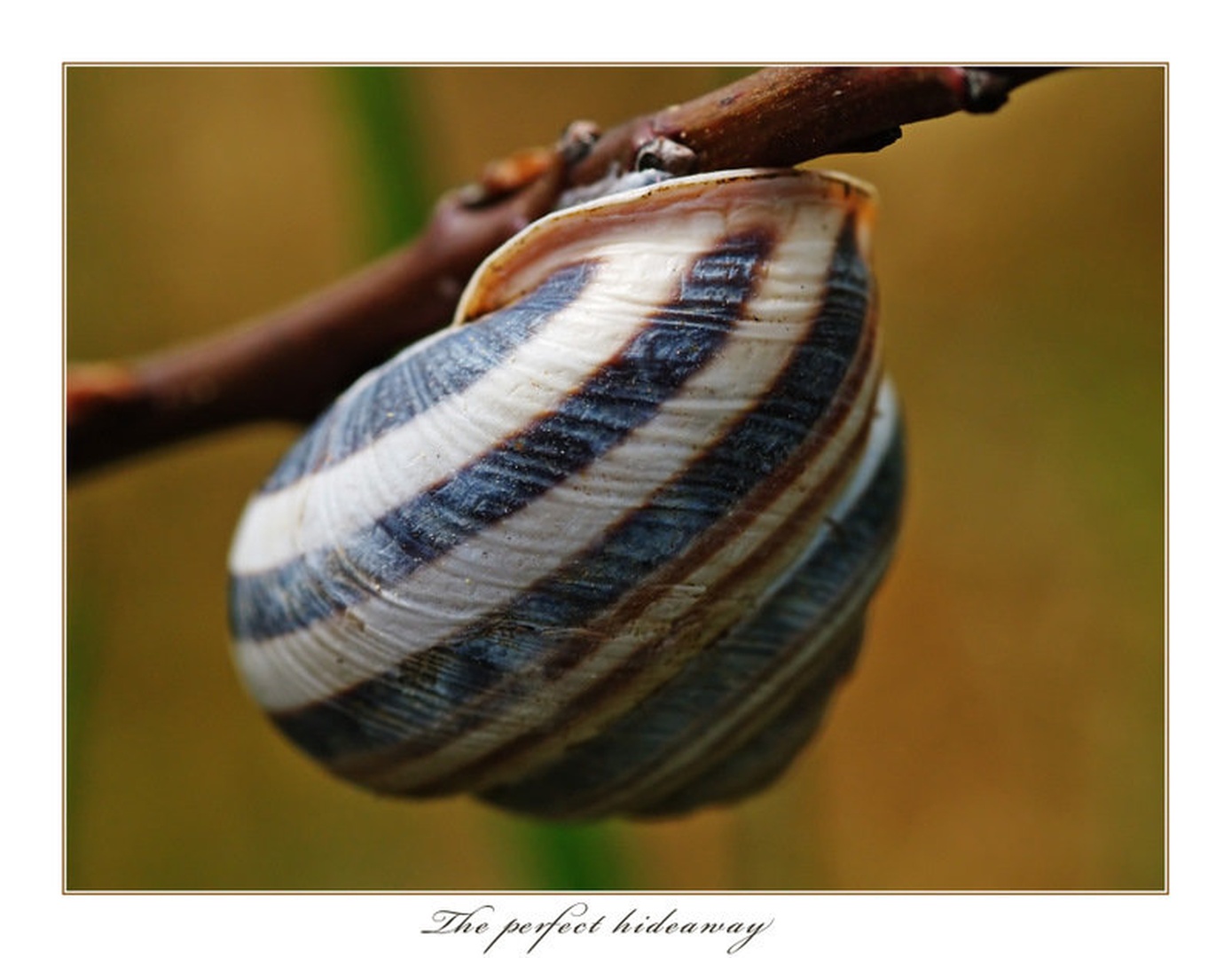 The perfect hideaway by Fredy Jagodič