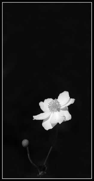 ... by Fredy Jagodič