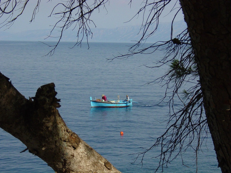 RIBIČ by kondor