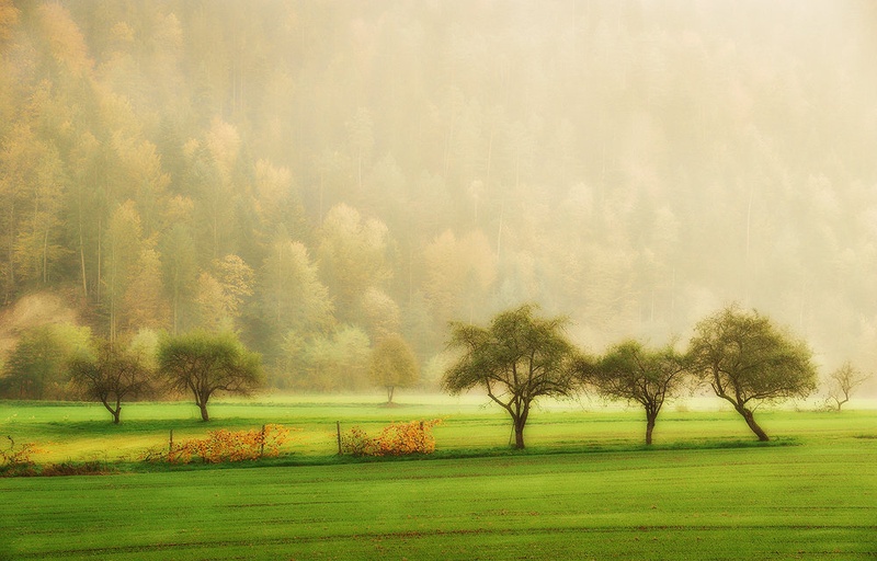 October Dreams by Orpheus