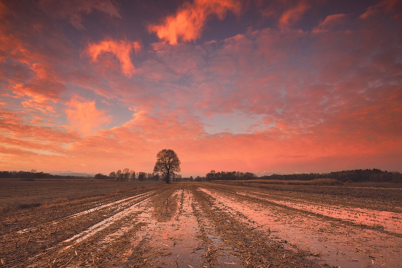 November Glow by Orpheus