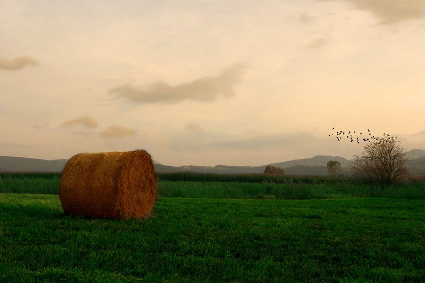 Autumn is in the air by Orpheus