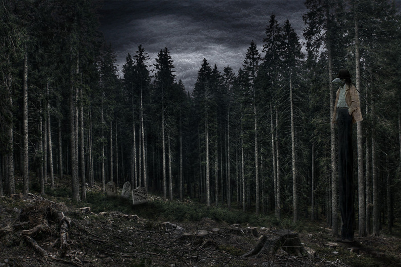 Into the mourning forest by Orpheus