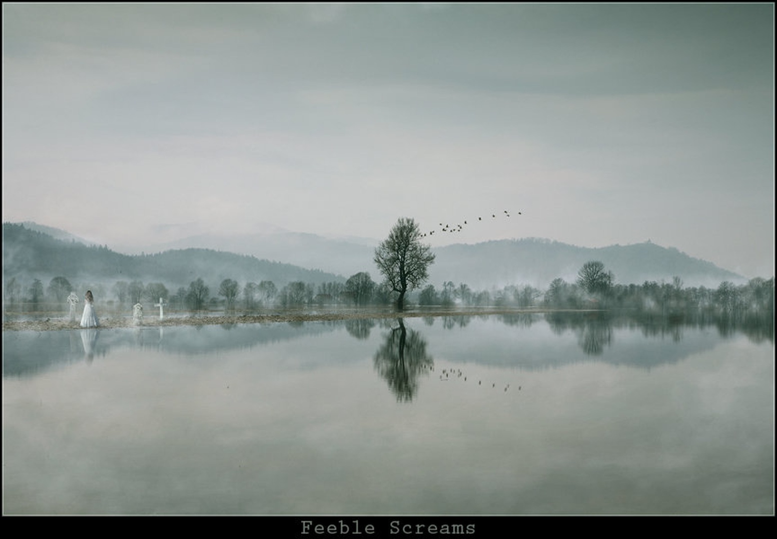 Feeble Screams by Orpheus