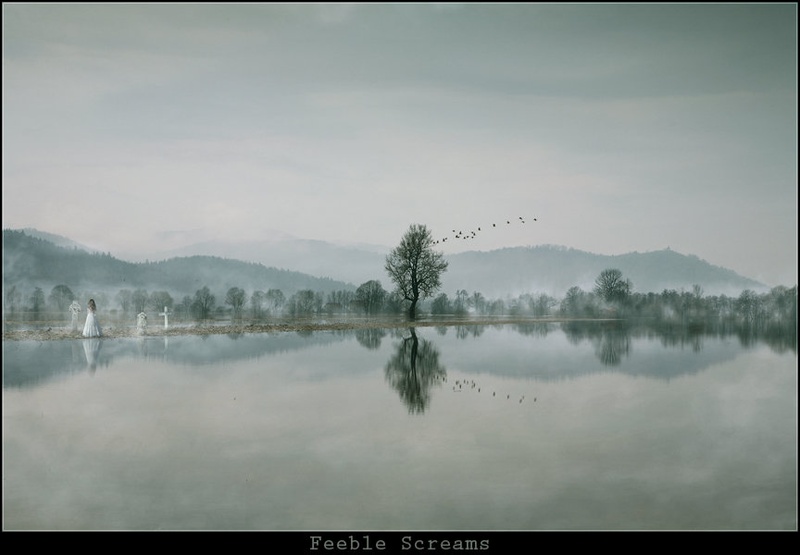 Feeble Screams by Orpheus